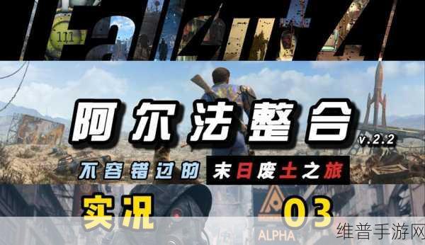 辐射4手游攻略，详解同伴武器弹药需求