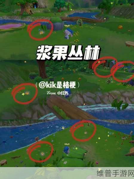 摩尔庄园手游攻略，揭秘前哨站位置与潜入技巧