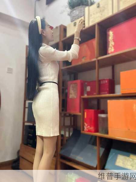 节之交未增减3：1. 节之交未增减，生活中的平衡艺术