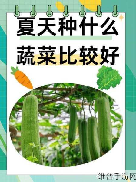 在最好的观看2018中文找到极致的内容：当然可以！以下是一些基于“在最好的观看2018”这个主题拓展出的新