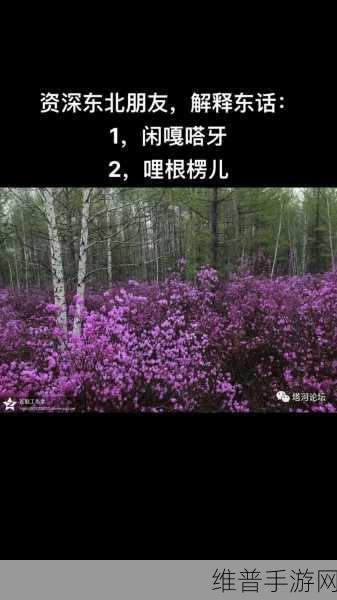 东北那旮瘩母与子：1. 东北那旮瘩：母与子情深的故事