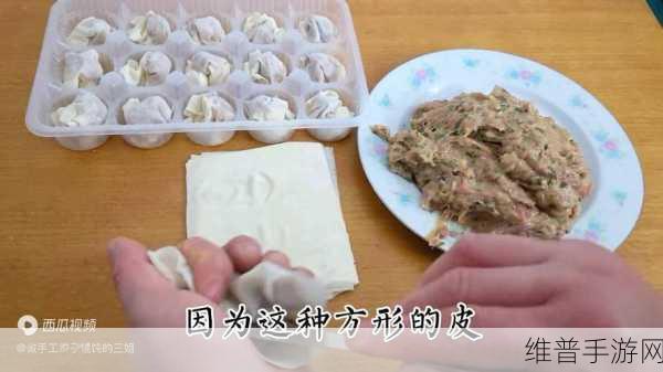 授课方式BY肉馅小水饺视频：1. 教你制作美味肉馅小水饺的秘笈