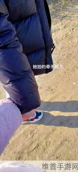 两人一起到达巅峰的几率大吗：1. 两人携手共登高峰的成功几率分析