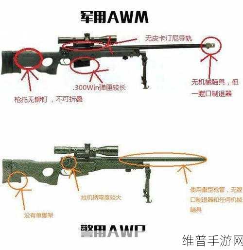 日本csgo大姐姐awp多少钱：1. 日本CSGO大姐姐AWP究竟价值多少？