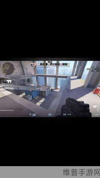 日本csgo大姐姐awp多少钱：1. 日本CSGO大姐姐AWP究竟价值多少？