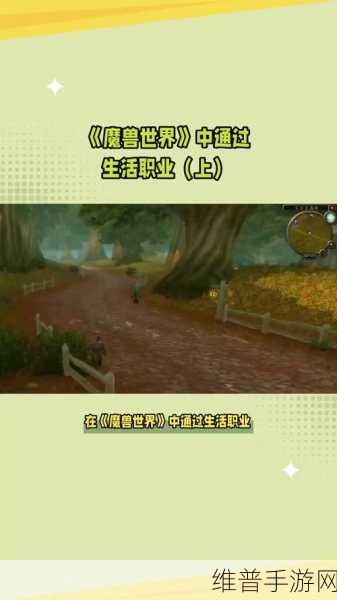 小森生活铁矿获取方法全面推荐