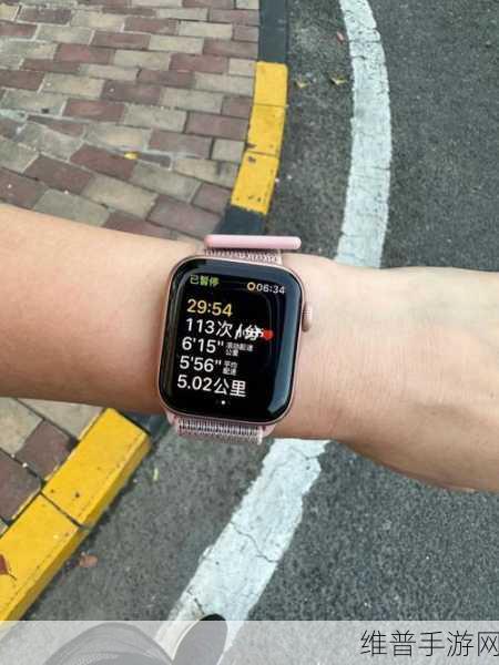 Apple Watch悦跑圈心率监测，精准数据助力手游玩家提升体能