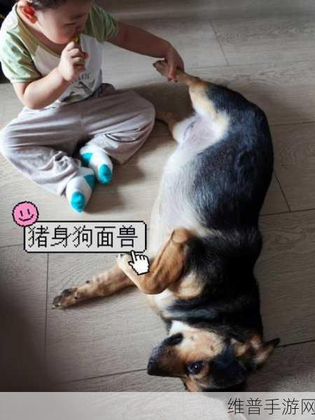 ZOOMSERVO兽狗最新版本发布将有大更新：ZOOMSERVO兽狗全新版本发布，重磅功能与体验全面升级！