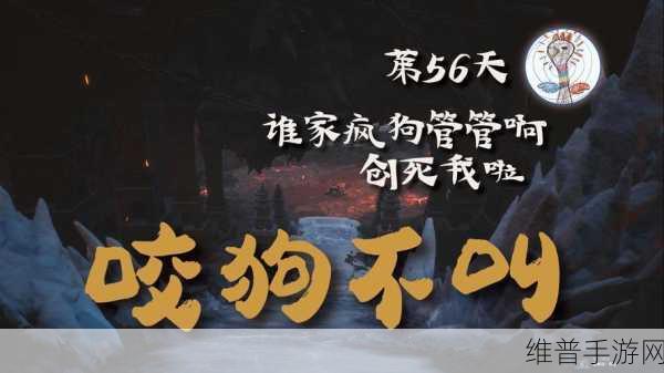 ZOOMSERVO兽狗最新版本发布将有大更新：ZOOMSERVO兽狗全新版本发布，重磅功能与体验全面升级！