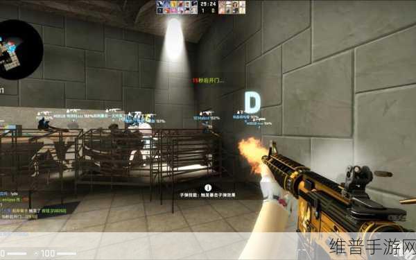 17岁俄罗斯CSGO：1. 17岁俄罗斯少年：CSGO世界的未来之星
