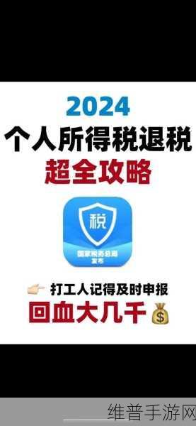 手游玩家必看，轻松掌握个人所得税查询攻略