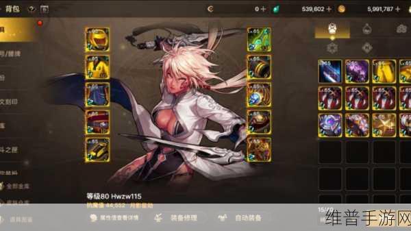 DNF手游攻略,刺客职业远古3套装与散装选择指南