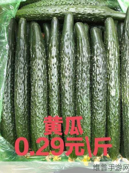 下面痒了用黄瓜还是茄子好：1. 痒了怎么办？黄瓜和茄子的妙用解析