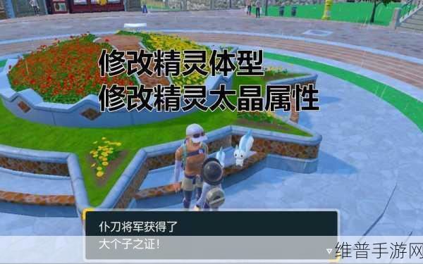 宝可梦朱紫边框颜色怎么改：1. 探索宝可梦朱紫边框颜色的神秘变化