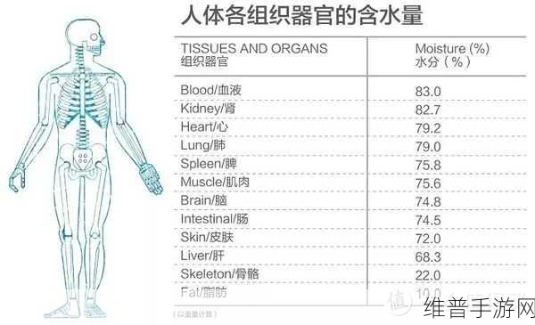 日本产品和韩国产品深度对比：1. 日本与韩国产品质量之争：谁更胜一筹？