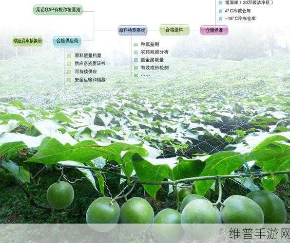 97精产国品一二三产区区别：1. 探索97精产国品的一二三产区独特特点