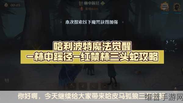 哈利波特魔法觉醒禁林副本通关秘籍