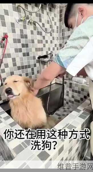ZOOMSERVO兽狗：1. ZOOMSERVO兽狗：重新定义智能宠物助手