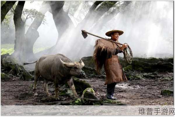 老牛影视：当然可以，以下是一些与“老牛影视”相关的新标题建议，每个标题都不少于10个字：