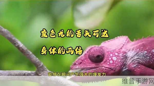 一边伸舌头一边快速喘气：1. ＂快速喘气与伸舌头：探寻身体语言的奥秘