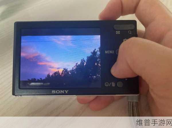 索尼w190：1. 索尼W190：探索便携摄影的新纪元
