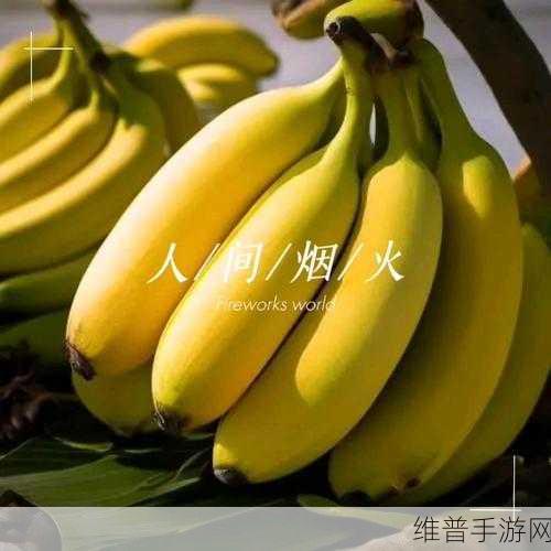草莓、香蕉、榴莲与丝瓜：1. 草莓与香蕉的美味搭配，榴莲丝瓜新吃法探索