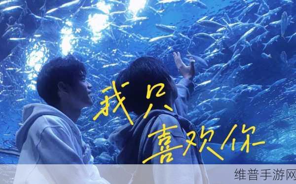 我只喜欢你11h宣称完全免费：1. ＂只喜欢你11h：完全免费体验你的爱情故事