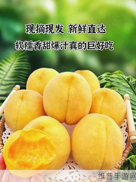 9612黄桃亚洲品质:1. 独特9612黄桃,尽享亚洲风味的甜蜜盛宴