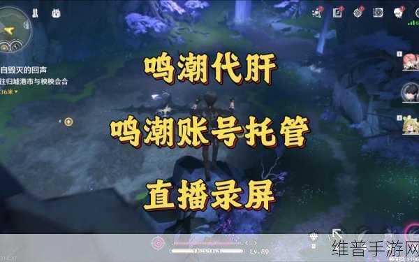 鸣潮手游账号绑定全攻略，轻松实现游戏内外账号互通