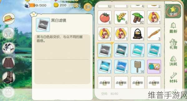 小森生活相机解锁及滤镜用法深度攻略指南