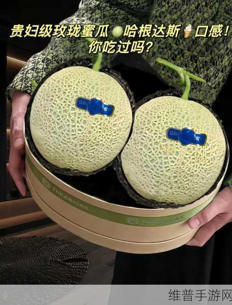 51今日必吃大瓜FUN：1. 今日必吃大瓜：解锁美味新体验，满足你的味蕾！