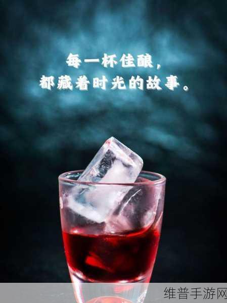 畅饮佳酿：1. 畅饮佳酿，品味生活的每一刻