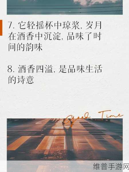 畅饮佳酿：1. 畅饮佳酿，品味生活的每一刻
