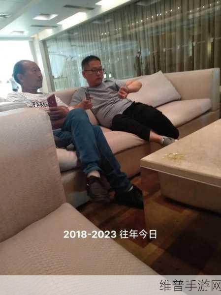 四叔一次又一次索取盛年：1. 四叔不断索取盛年：背后的故事与启示