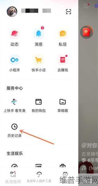 快手极速版手游攻略，解锁查看方法与深度玩法