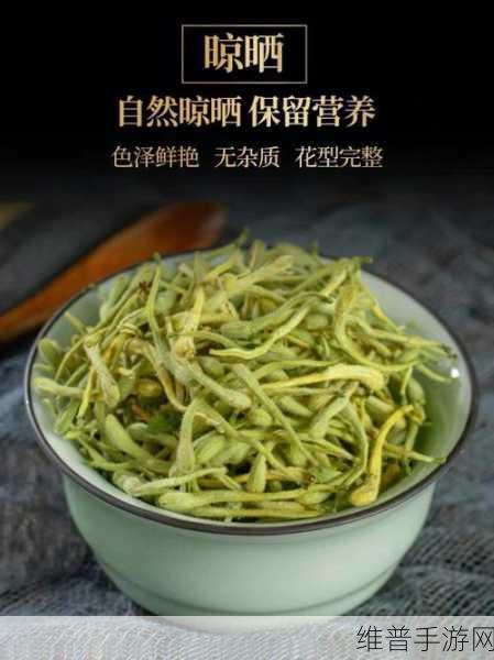 极致沉迷TXL金银花讲的什么:1. 《极致沉迷TXL金银花的魅力与健康价值