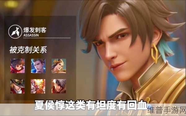 王者荣耀深度解析，暃的羁绊英雄全攻略