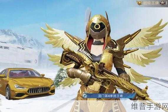 和平精英炽羽金尊获得全攻略，解锁传说级皮肤的秘密