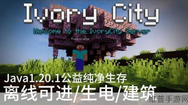 暴躁老外玩minecraft高清服务器再次升级：1. 《暴躁老外Minecraft探险：全新高清服务器体验