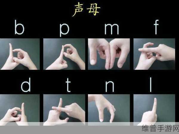 扣B标准手势：1. 探索扣B标准手势背后的文化意义