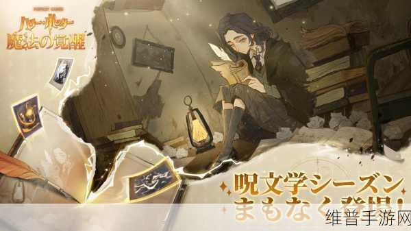 哈利波特魔法觉醒购买衣服方法全解析