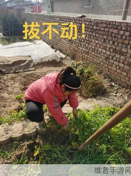 二人世界拔萝卜：1. 两人世界的萝卜情缘与成长