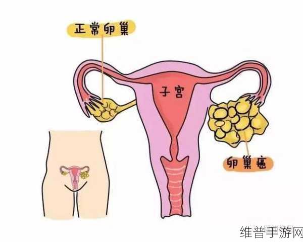 产子岛～每周怀孕生育7次：1. 每周怀孕七次：产子岛的神奇之旅