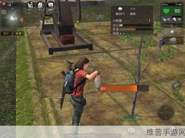 明日之后手游攻略，揭秘中心花园的永久性与建造细节