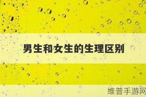 男生和女生差差：1. 探索男生与女生性格差异的深层原因
