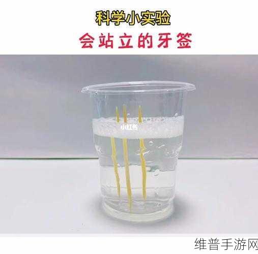 六年级下面能塞多少根牙签：1. 牙签的数量与空间利用：科学实验探索