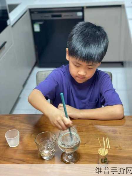 六年级下面能塞多少根牙签：1. 牙签的数量与空间利用：科学实验探索