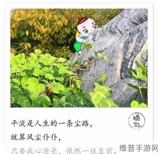 一进一出其乐无穷：1. 一进一出，享受生活的无限乐趣