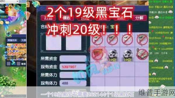 梦幻西游无双版，深度解析黑宝石的神奇作用