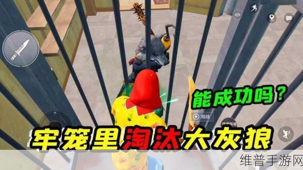 和平精英小红帽溜大灰狼全攻略，摆脱追击的必备技巧